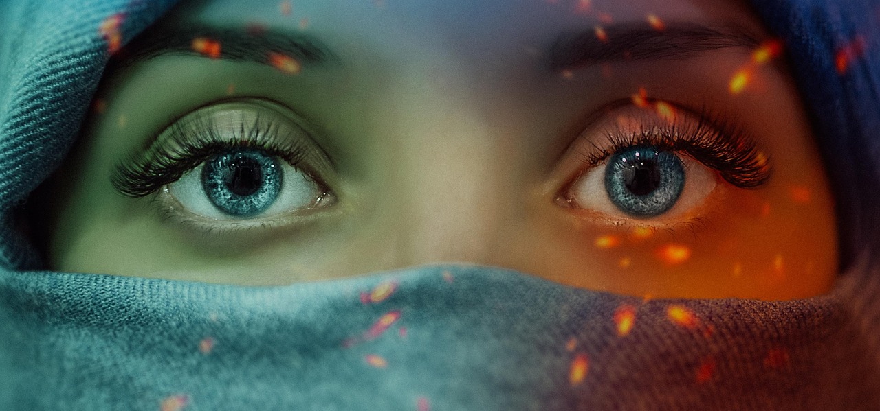 河南住房和城乡建设厅网站：政府官网功能与信息查询指南